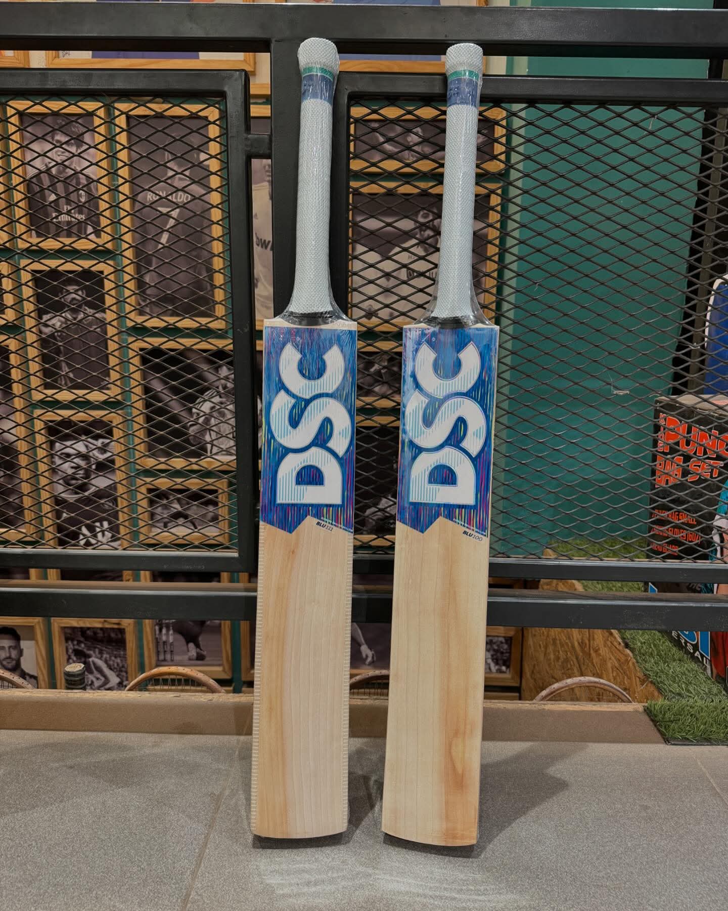 DSC Blue-111 Match Bat
